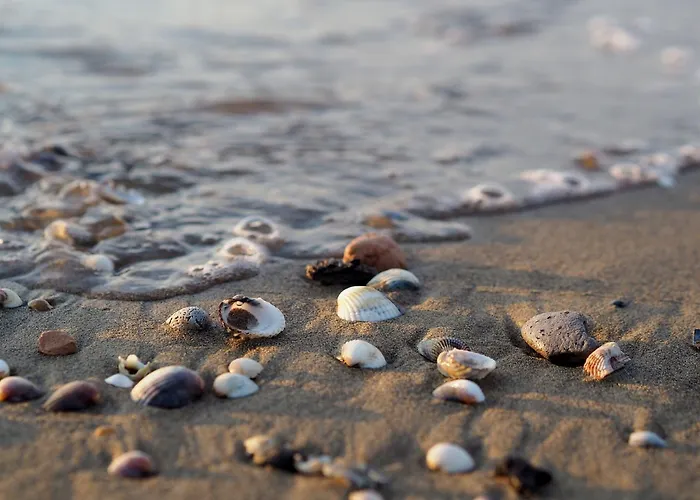 Enjoy Staying In Our Flat Daire